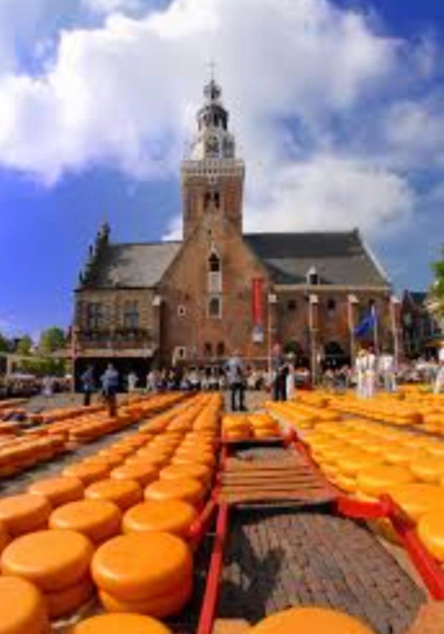 Huisje Britt Met Grote Tuin En Veel Privacy Dirkshorn 外观 照片